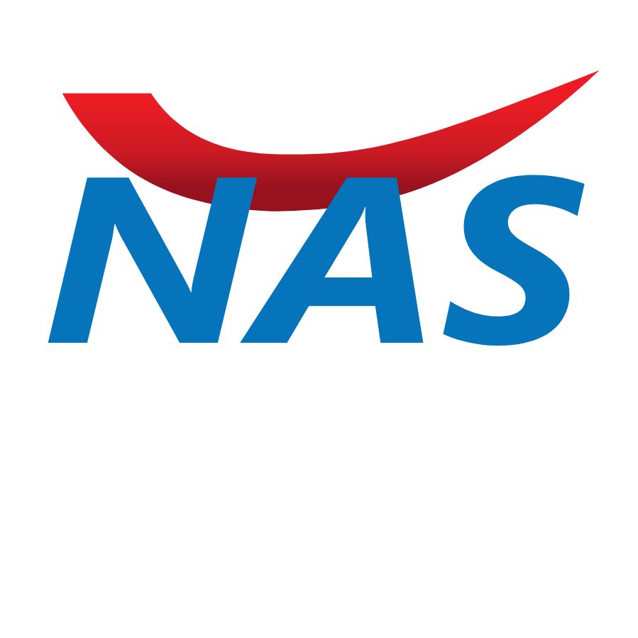 nas insur